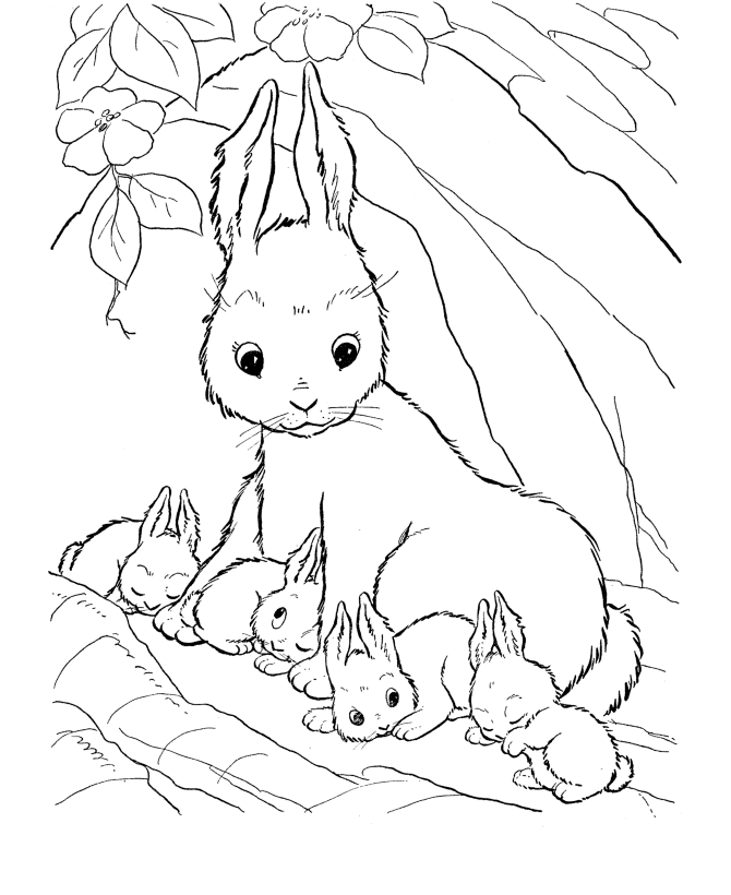 Coloring Pages Of Animals And Their Babies - Free Printable