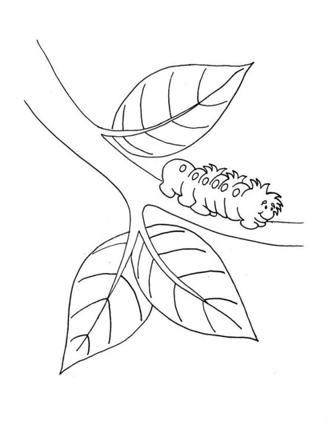 The Little Caterpillar Crawling Up The Tree Coloring Page Kids