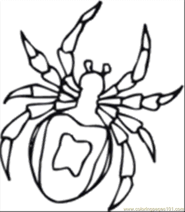 free printable coloring page Th Insect Coloring Page Book
