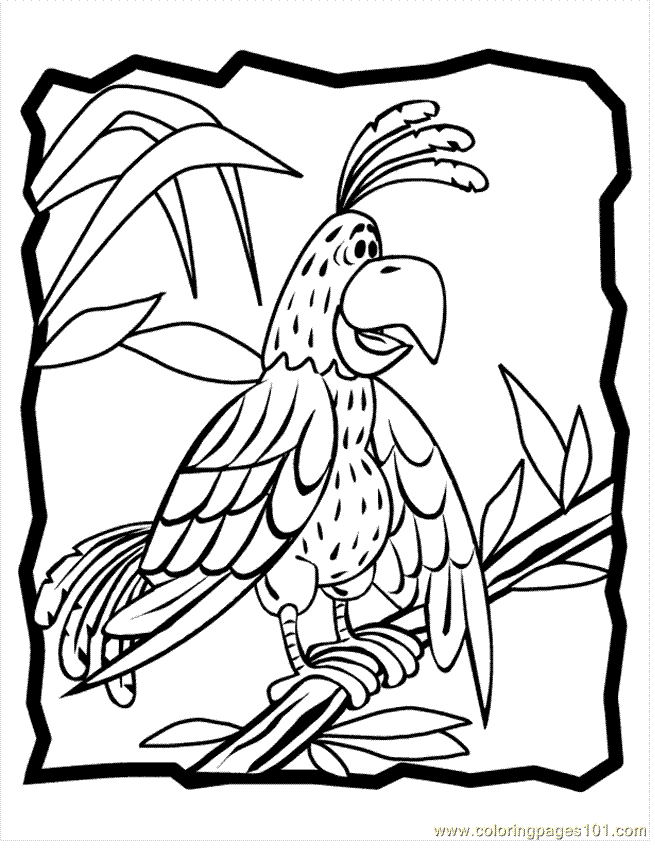 Coloring Pages Parrot Coloring Page (Birds > Parrots) - free