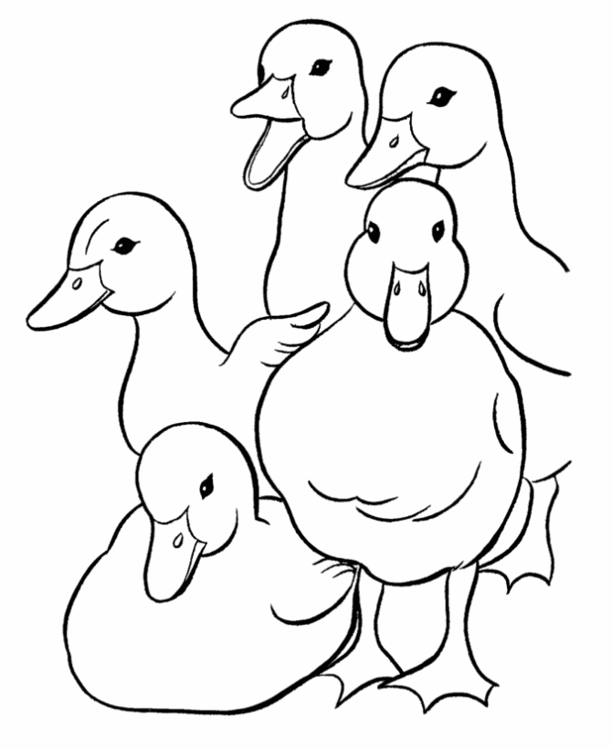 Print And Coloring Pages Duck For Kids | Coloring Pages