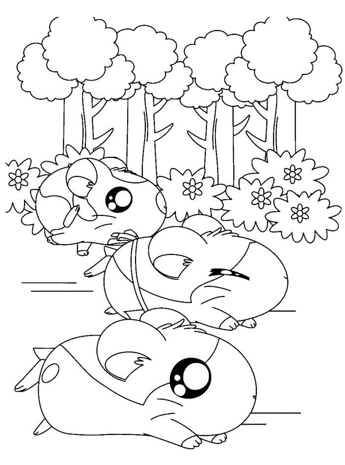 Hamsters Racing Hamtaro Coloring Page - Cartoon Coloring Pages on