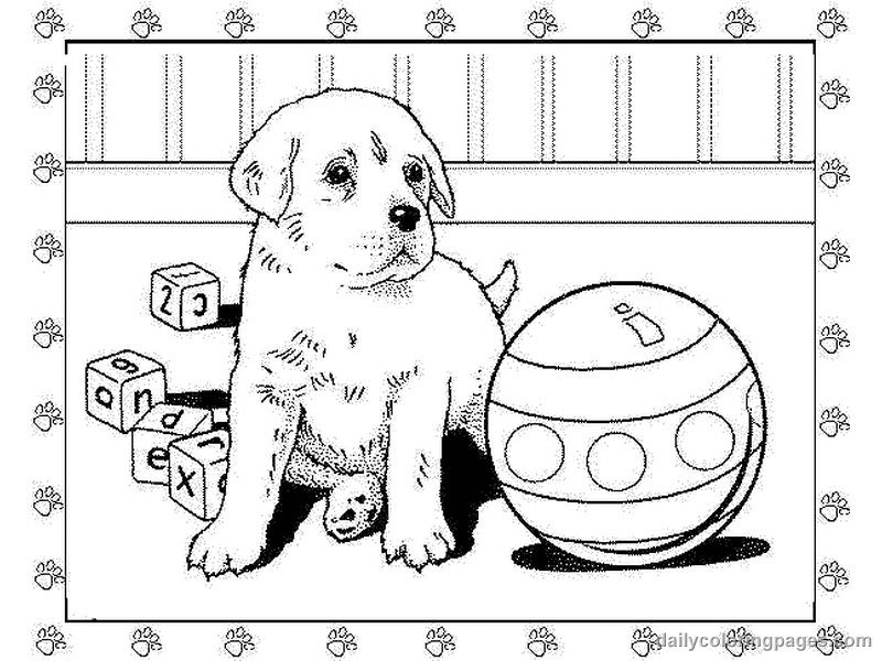 Kids Coloring Realistic Puppy Coloring Pages Doggie With Collar