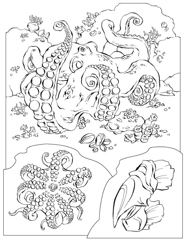 onder building Colouring Pages