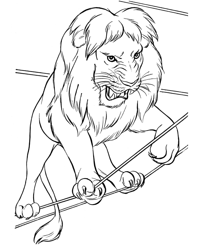 Games Circus Animals Coloring Pages - Kids Colouring Pages