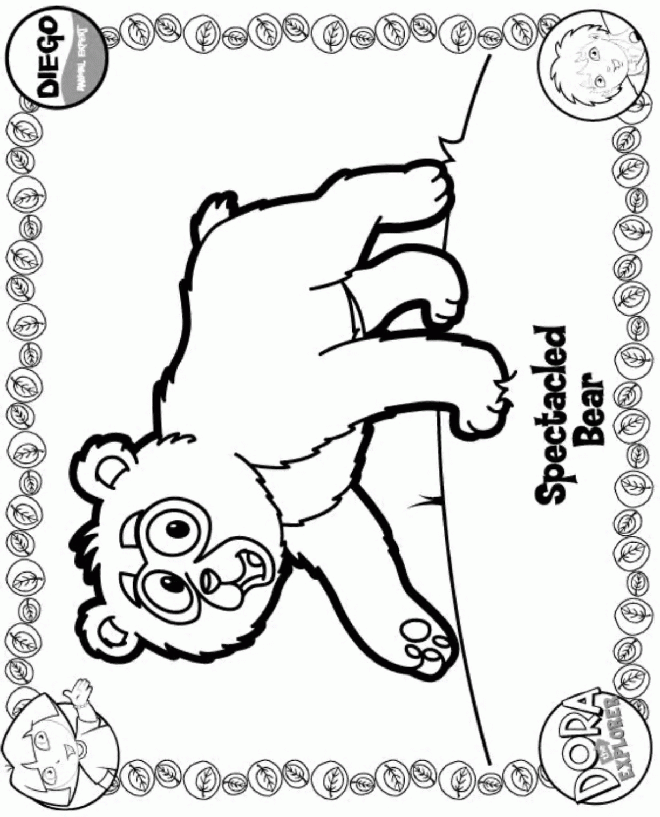 Bear / Diego Coloring Pages