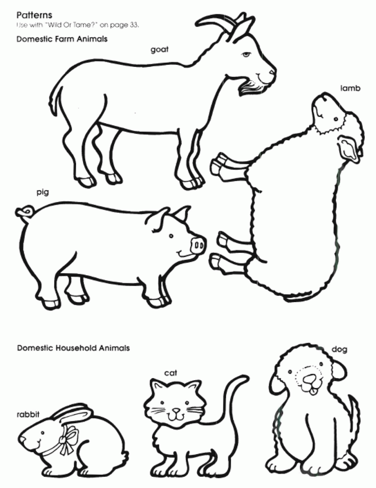 Animal Outline Pictures | Outlines