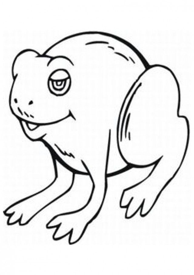 7742 Pictures Frog Animal Coloring Page Templates For Kids 184830