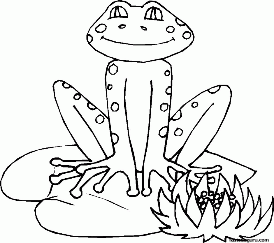 Frog On Leaf Coloring Pages Printable For Kids Id 12677 145121
