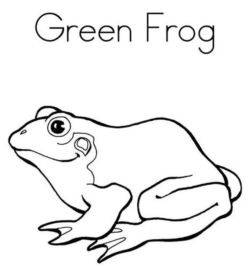Download Green Frog Coloring Page Or Print Green Frog Coloring