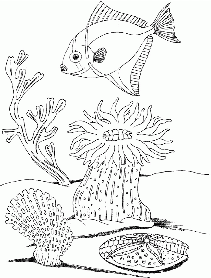Underwater Free Coloring Pages To Print: Underwater Free Coloring