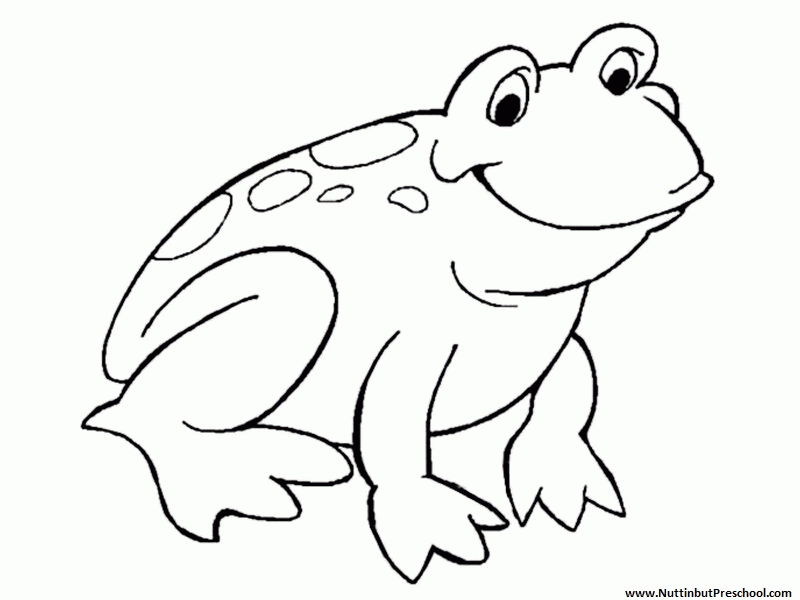 frog coloring picture