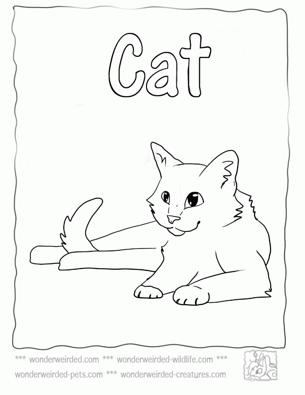Cat Coloring Pages,Echo
