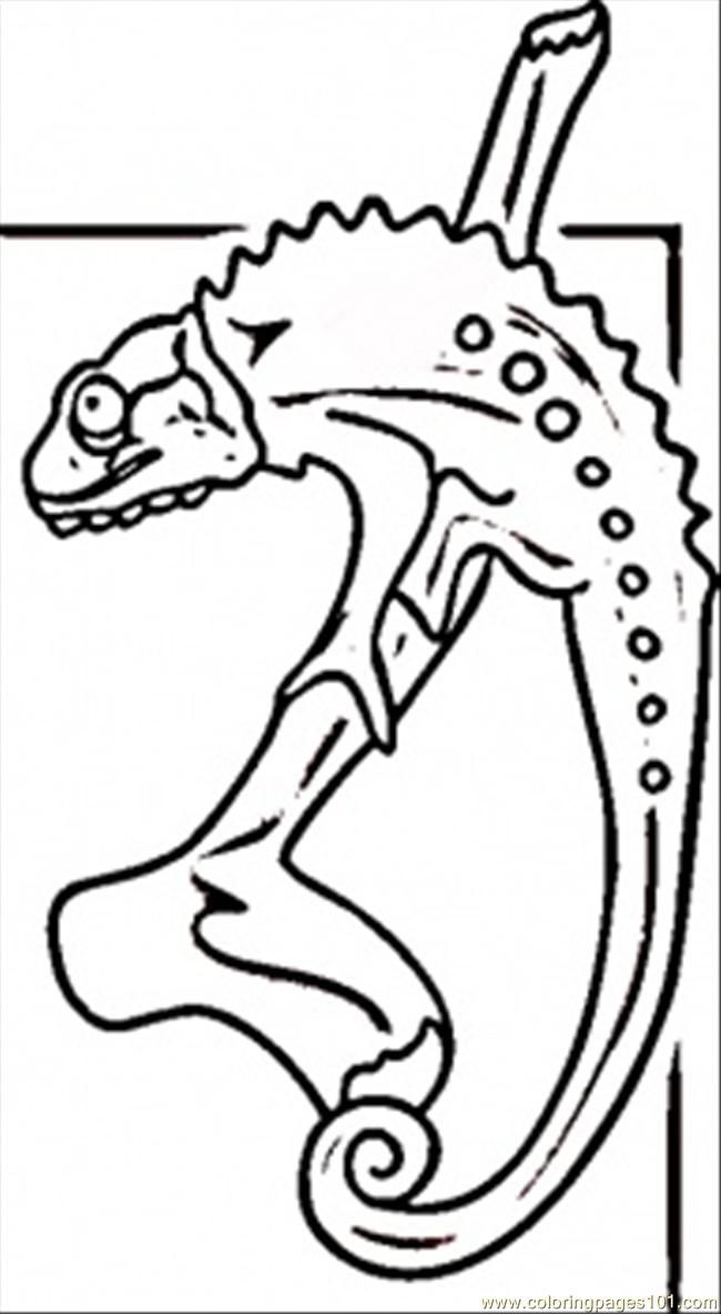 desert lizard colouring coloring pages list - Quoteko.