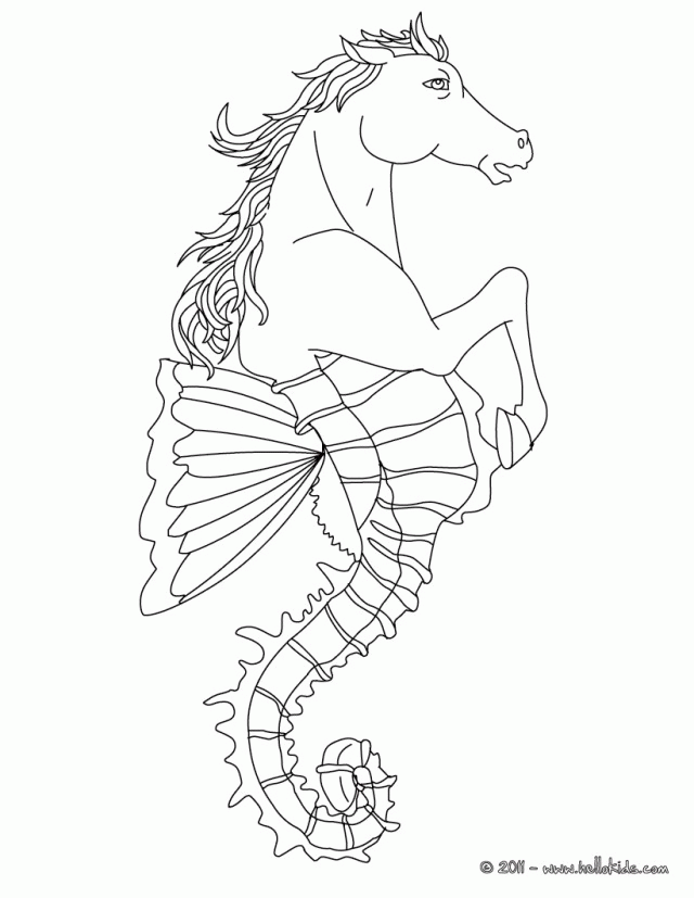 GREEK FABULOUS CREATURES AND MONSTERS Coloring Pages HIPPOCAMPUS