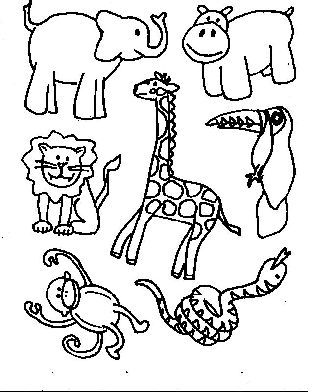 Free printable coloring pages of animals ~ Online coloring