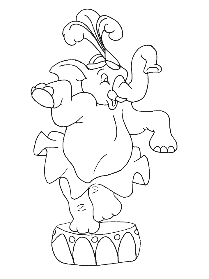 Related Pictures Circus Seal Coloring Page Pictures Car Pictures
