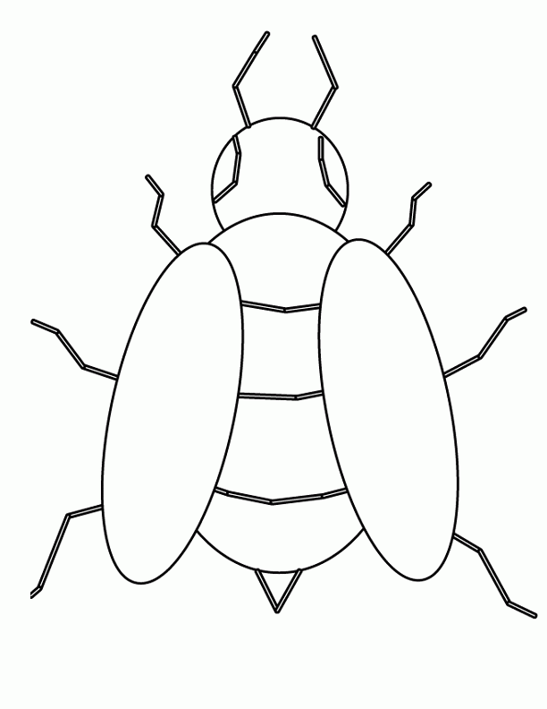 Insect printable coloring pages | Kids Color Pad