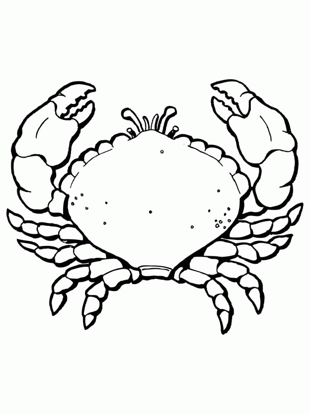 blue crab Colouring Pages