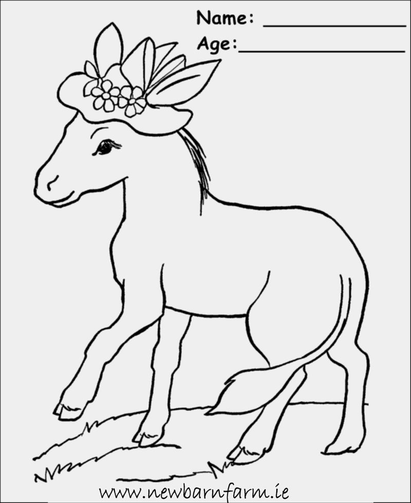 kidzone animals Colouring Pages