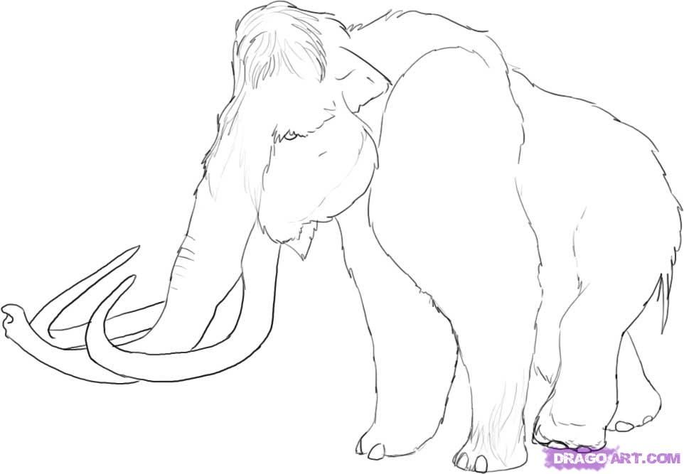 How to Draw a Woolly Mammoth, Step by Step, Dinosaurs, Animals