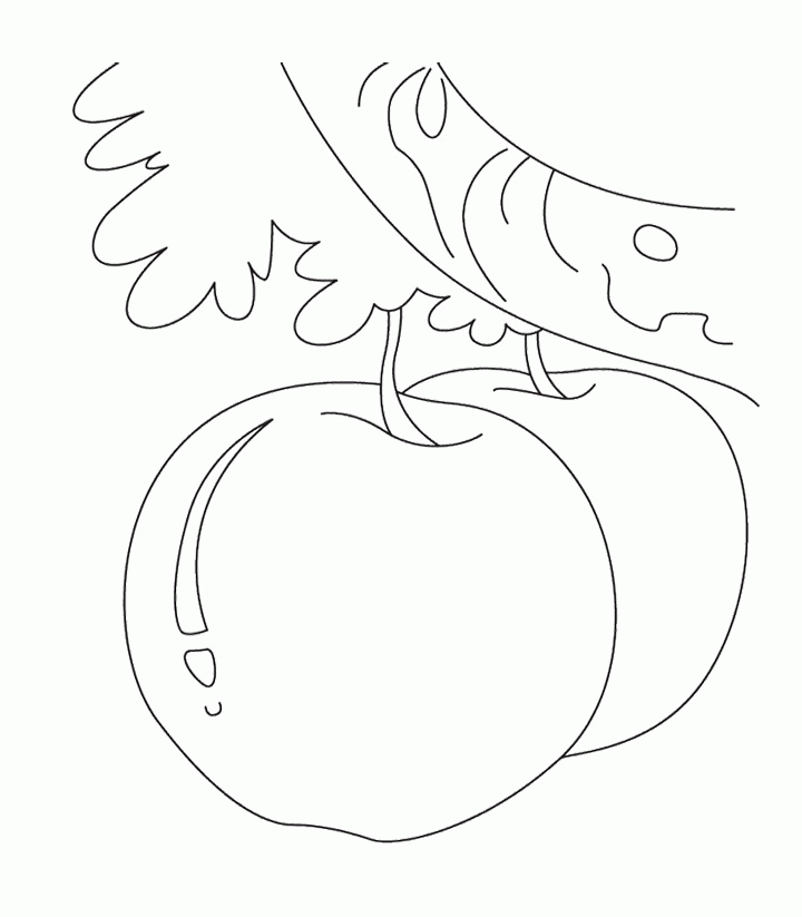Pictures Two Apples Coloring Page For Kids - Fruit Coloring Pages