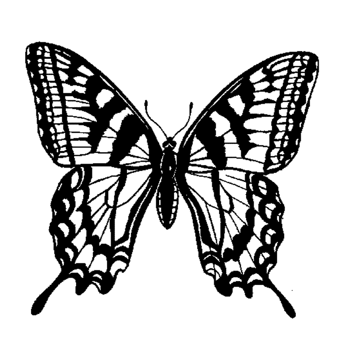 Dibujo para colorear de Animales - Mariposas - mariposa-