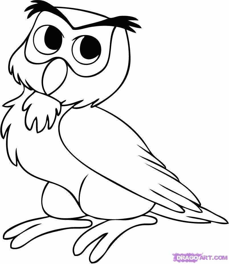How to Draw Baby Owl, Step by Step, Disney Characters, Cartoons