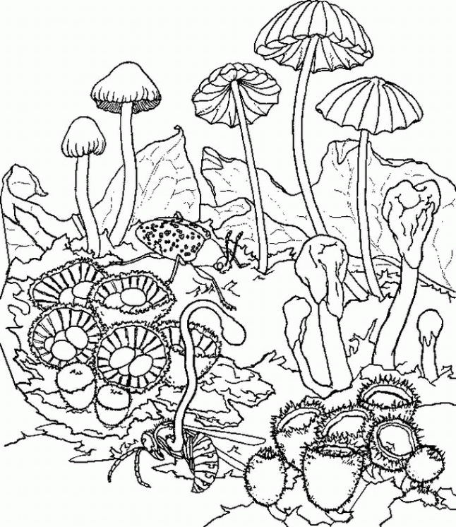 Trippy Coloring Pages