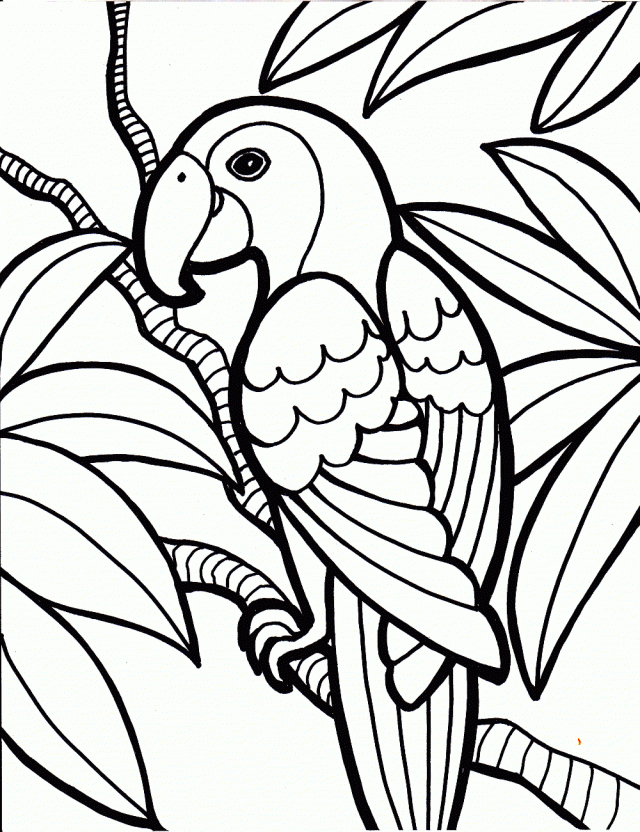 Coloring Page Bird Coloring Pages Hello Kitty Coloring Pages For
