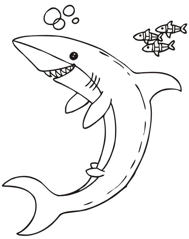 Shark coloring pages for all ages