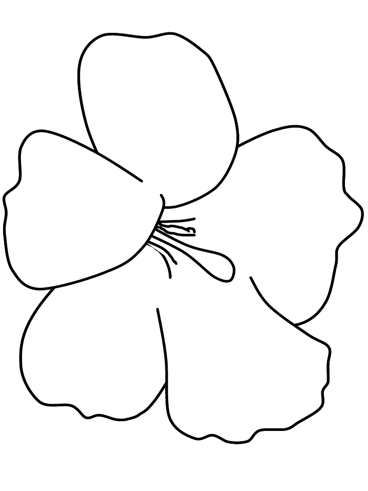Hibiscus coloring pages and printables