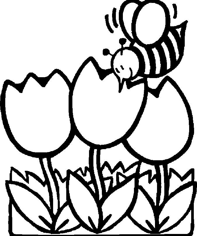 Bee coloring page - Animals Town - animals color sheet - Bee