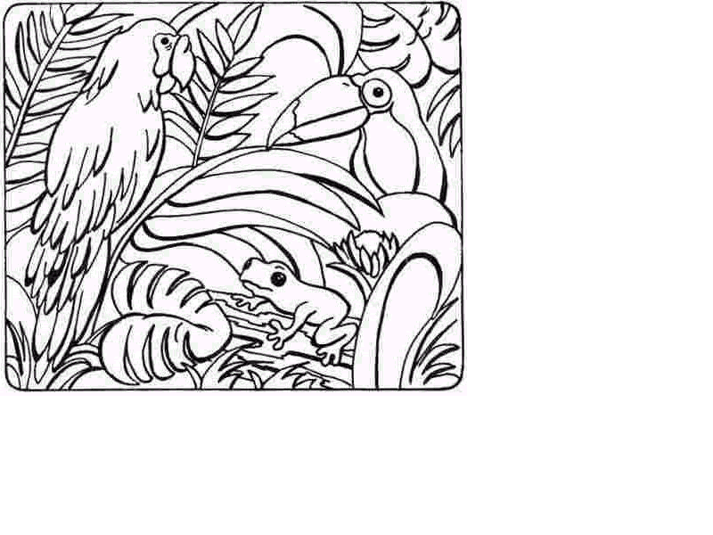 Jungle Coloring Page | Coloring Pages