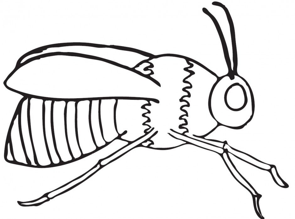 Bee Line Art ClipArt Best 152134 Bumble Bee Coloring Pages