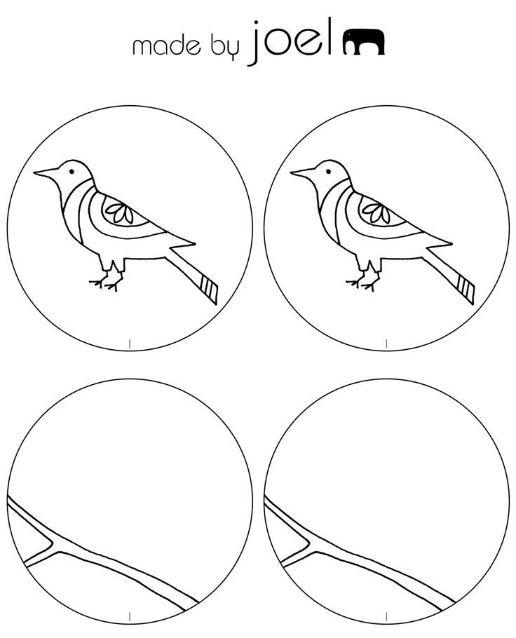 Spinning bird - zoetrope? | Classroom art ideas (juniors)
