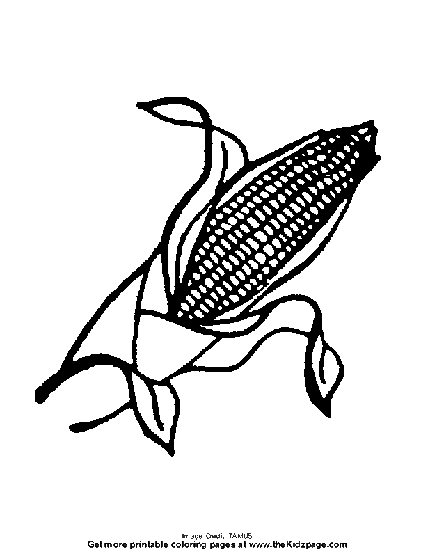 Corn On The Cob Coloring Page