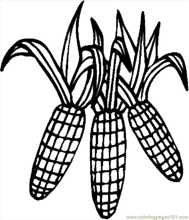 Coloring Pages Corn 4 (Holidays > Thanksgiving Day) - free