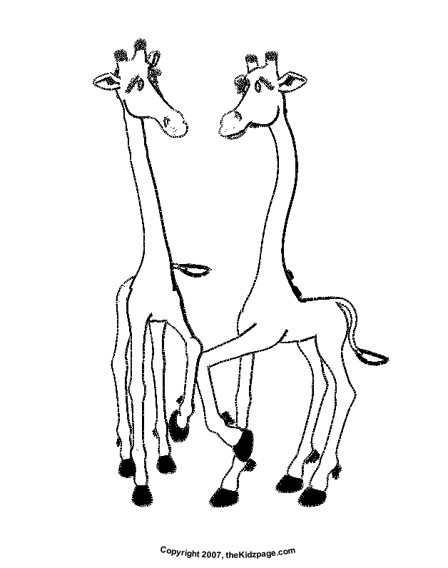 Giraffes - Free Coloring Pages for Kids - Printable Colouring Sheets