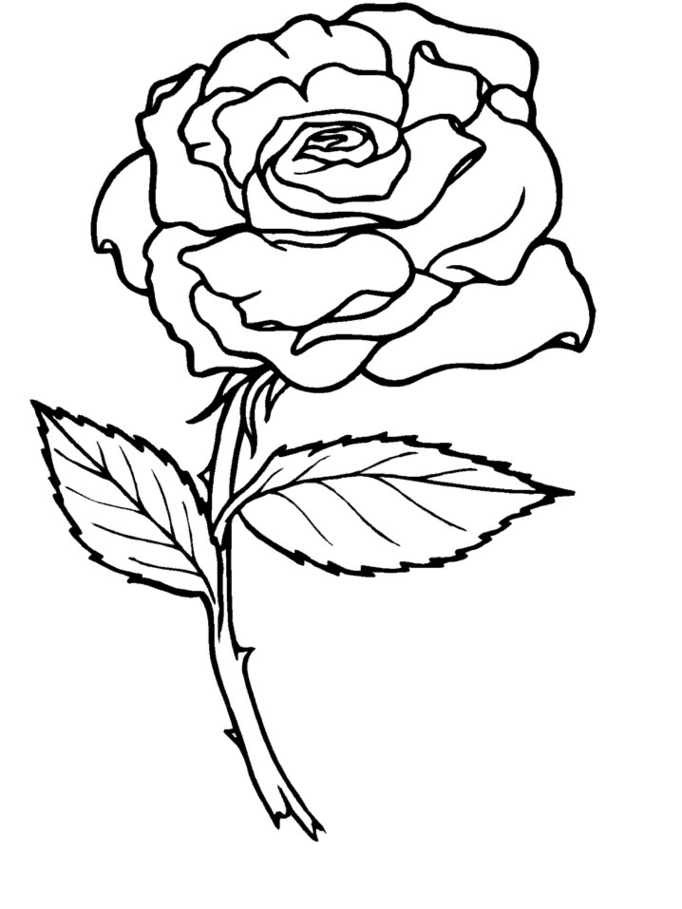Coloring Pages Of Rose 380 | Free Printable Coloring Pages