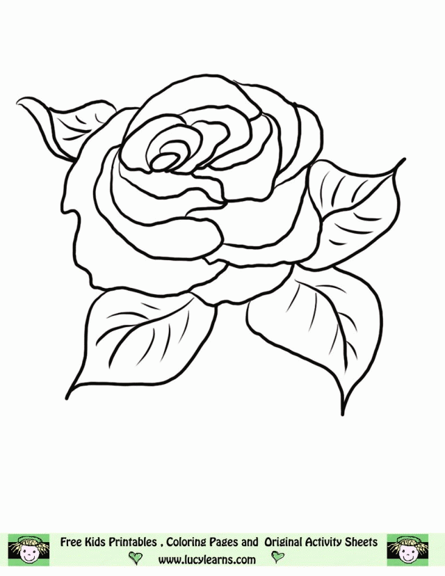 Free Rose Coloring Pages Printable Flower Coloring Pages Of 280360