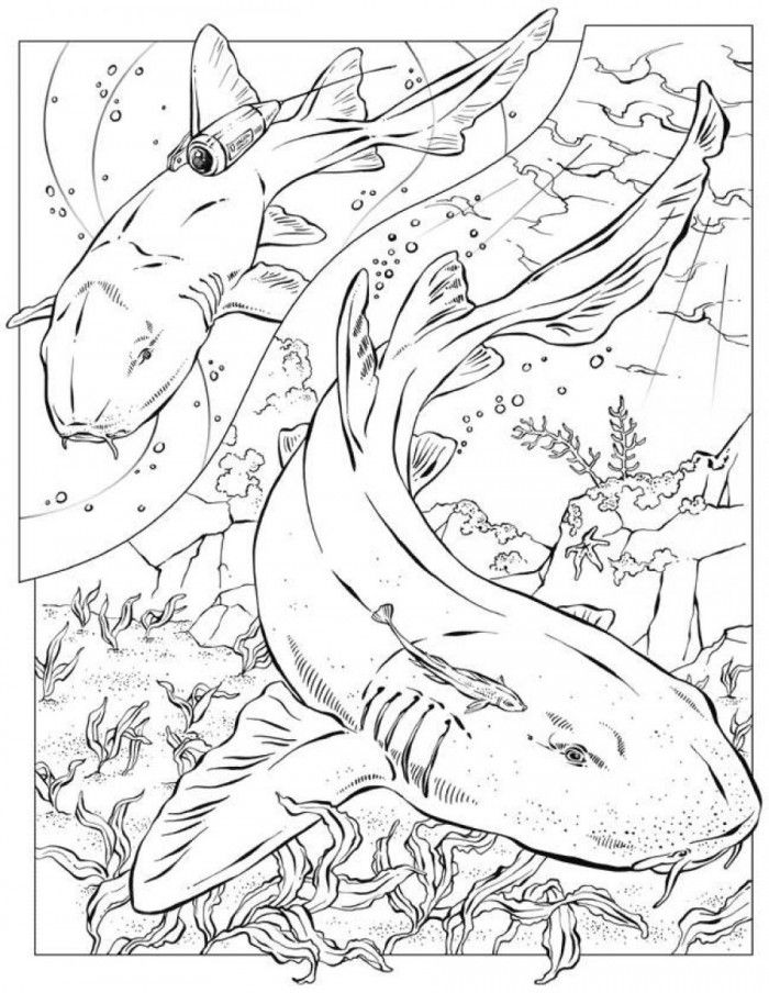 Hard Ocean Coloring Pages | 99coloring.com