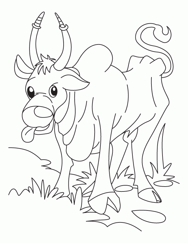 Ox searching for corn flakes coloring pages | Download Free Ox