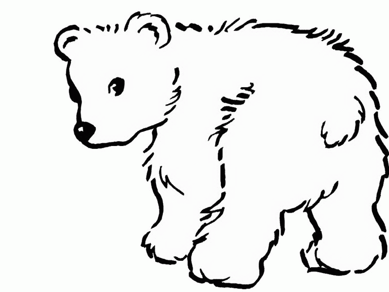 Polar Bear Cute Polar Bear Coloring Page Cute Polar Bear Coloring
