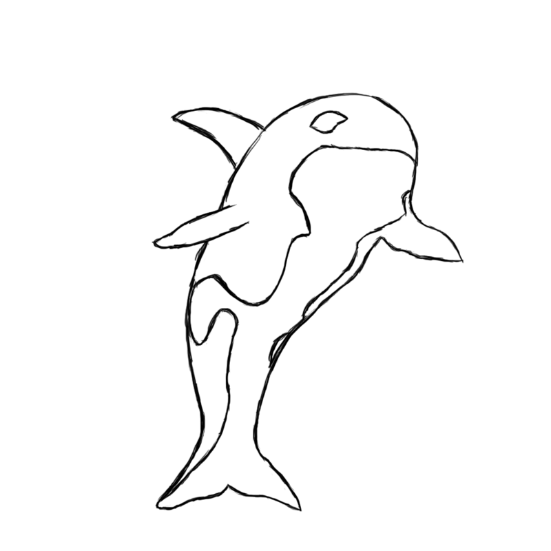 whale drawings