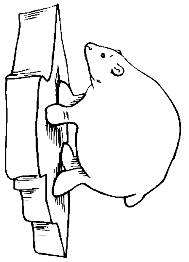 polar bear coloring sheet homeschool helper