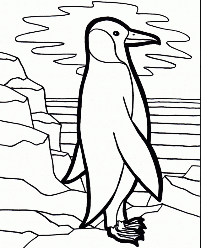 Penguins Coloring Pages Coloring Pages 277727 Penguins Coloring Pages