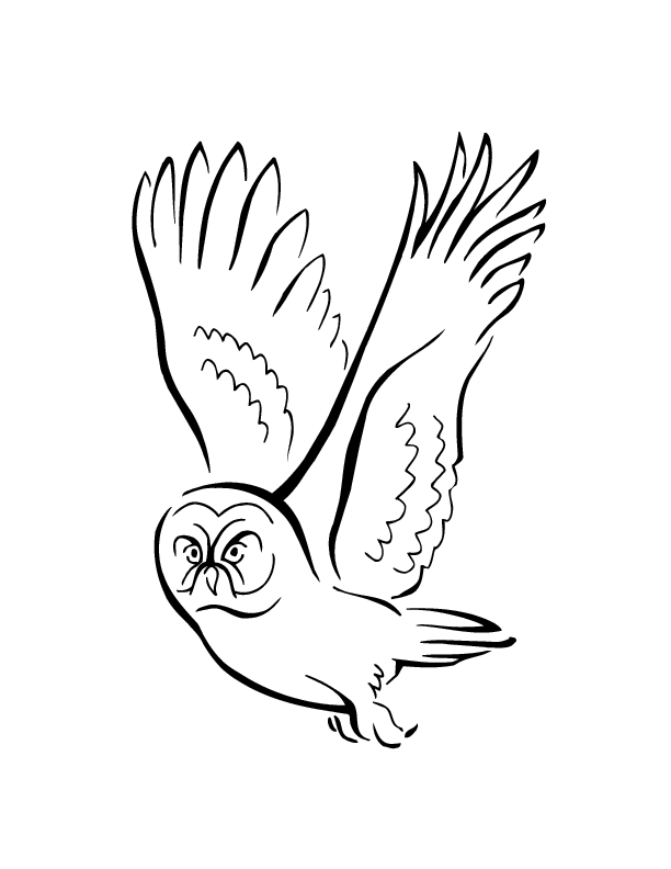 owl flying printable coloring in pages for kids - number 2367 online