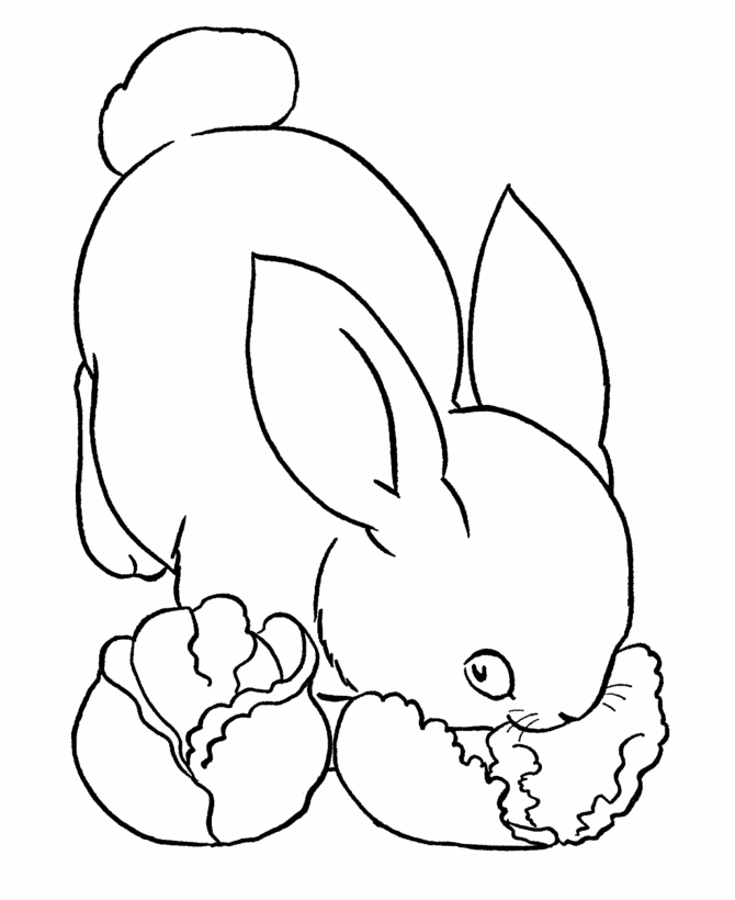 Farm Animal Coloring Pages | Printable Bunny rabbit eating lettuce