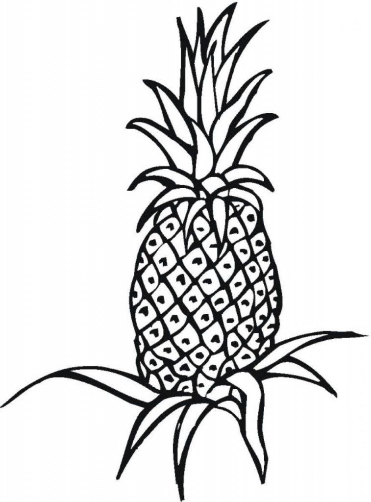 Fruit Pineapple Printable Coloring Pages | Extra Coloring Page